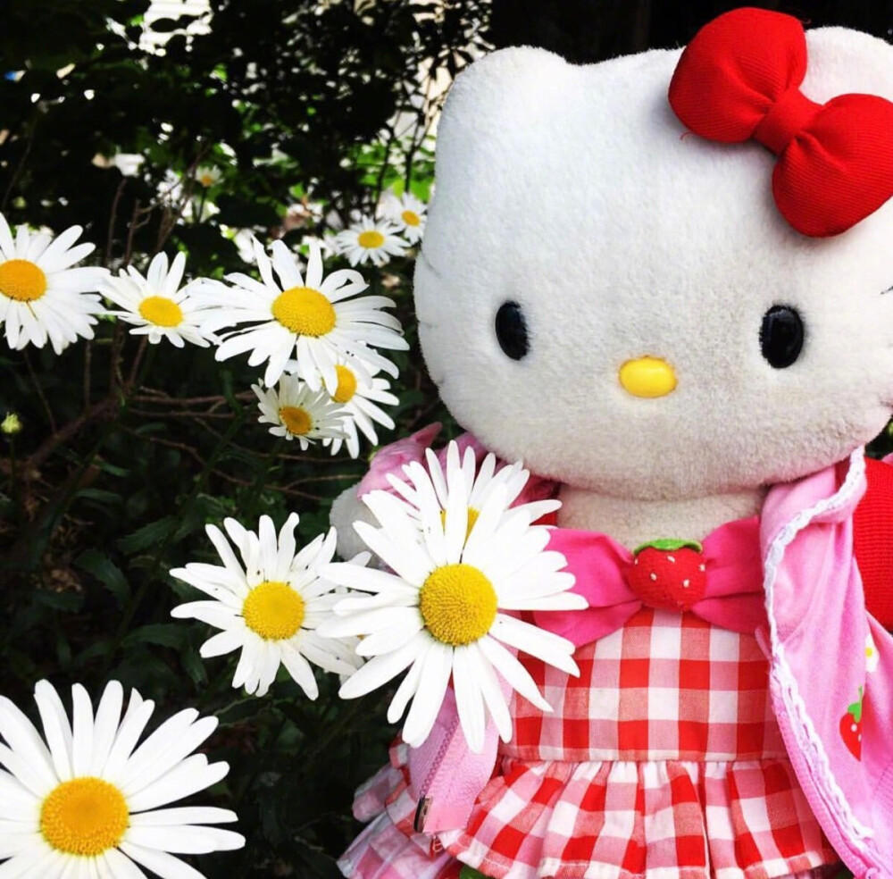 Hello kitty 控