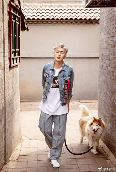 张若昀与哈士奇的邂逅