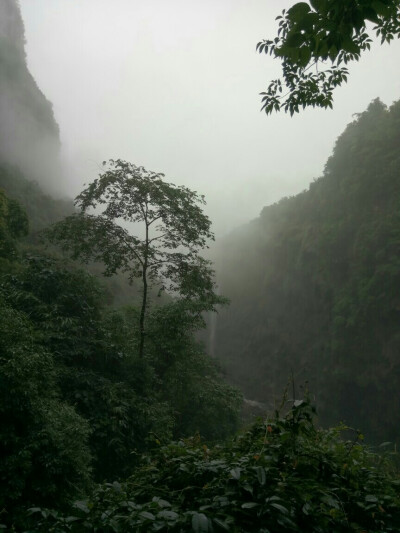 亭亭山上松（没有谷中风）