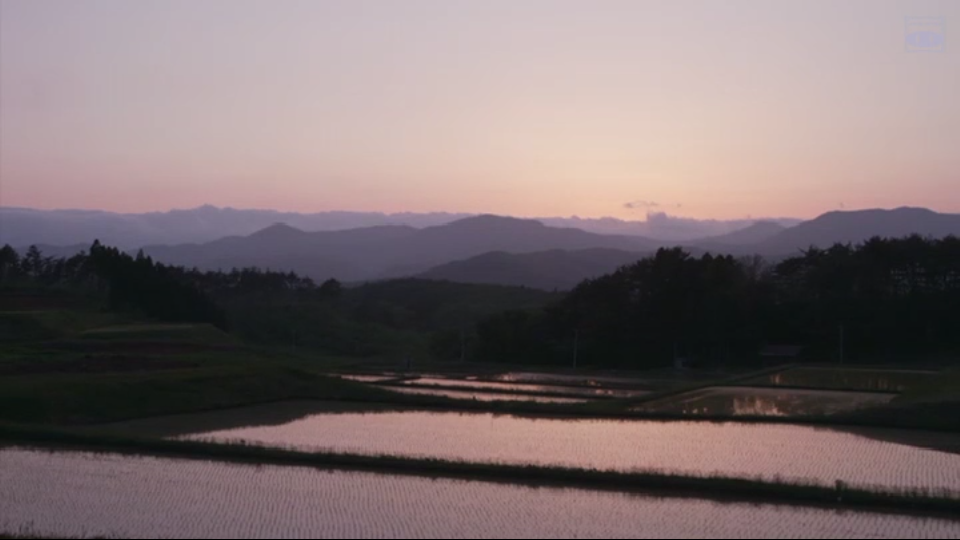 小森林