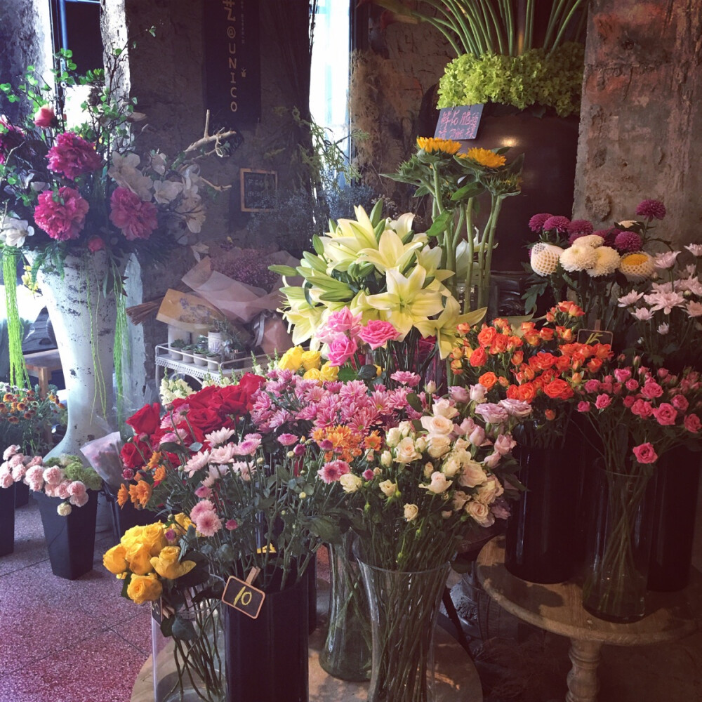 优尼蔻鲜花一角