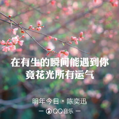 QQ音乐 歌词海报
因为一句歌词爱上一首歌
文字图片
微博@：小蘑菇呀啊