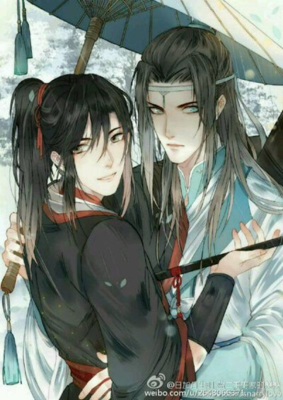 蓝忘机 魏无羡 忘羡 魔道祖师