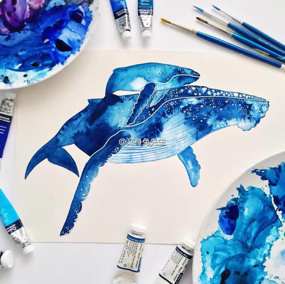 纹身鲸鱼小清新