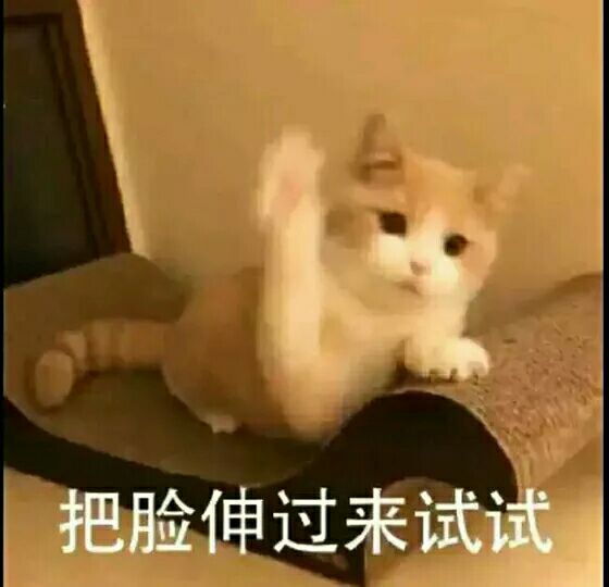 可爱(๑• . •๑)