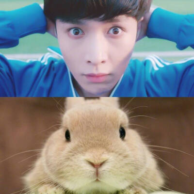 张艺兴 lay X—back 