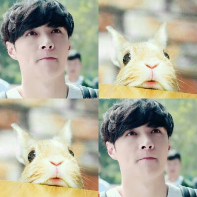 张艺兴 lay X—back 