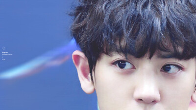 EXO ChanYeol 朴灿烈 cr:logo