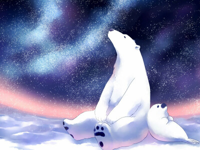 北极熊 夜空极光