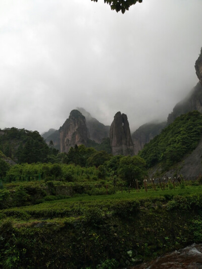 上山