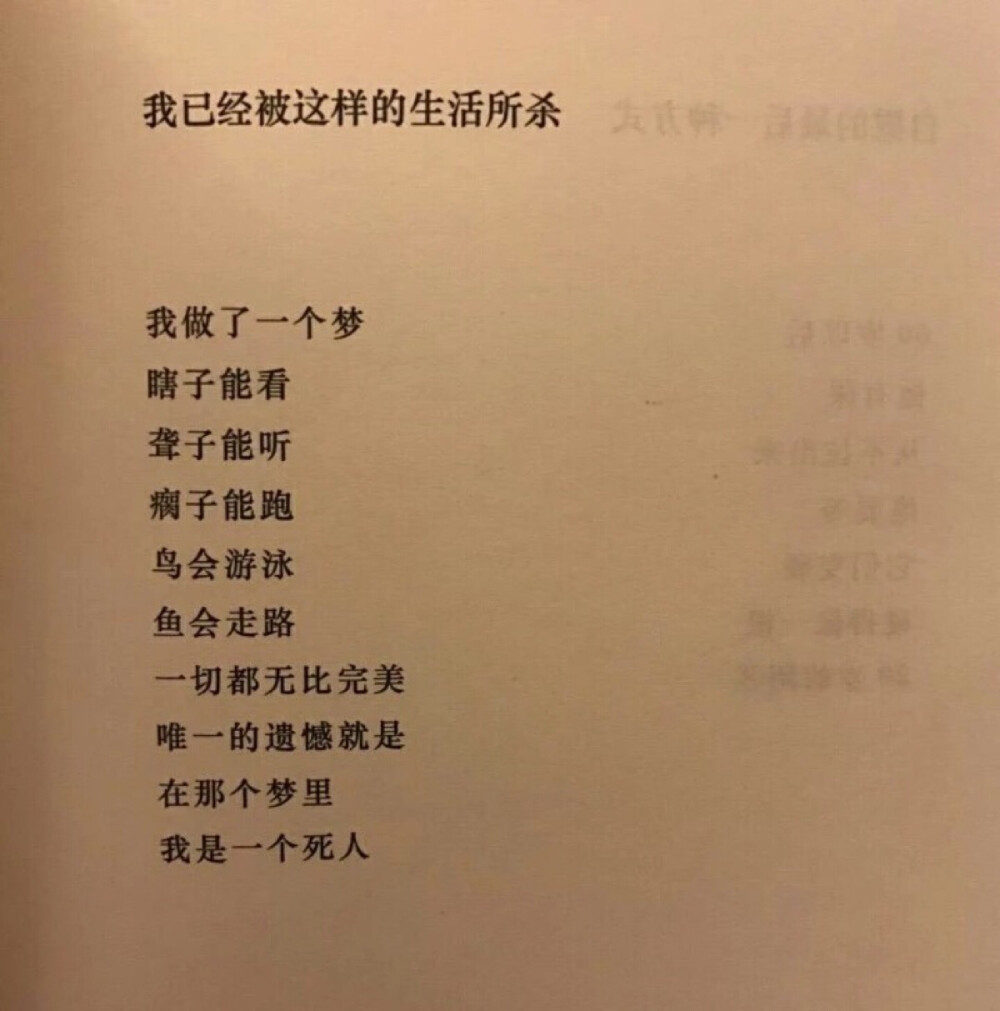 我已死，有事烧纸