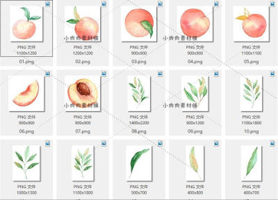 水彩手绘水蜜桃子花环树叶绿叶图片卡片海报PNG设计素材png211