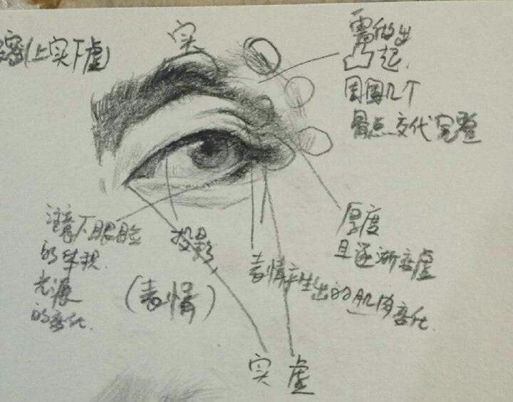 素描眼睛