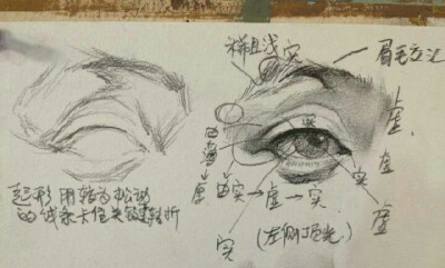 素描眼睛