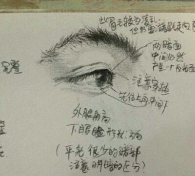 素描眼睛