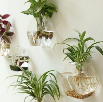 壁挂花瓶透明玻璃绿萝水培水栽植物迷你花瓶鱼缸创意ins家居装饰