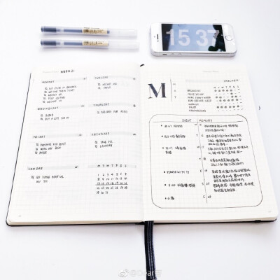 -week 21-❐ 惊不惊喜，意不意外，又来一potag：#BulletJournal##给你看我的手账吧##手帐##给你看看我的手帐吧##what's in my notebook##studyaccount##vsco# 抄送：@手帐生活启示录 @银河系手帐指南 @我们爱手帐_…