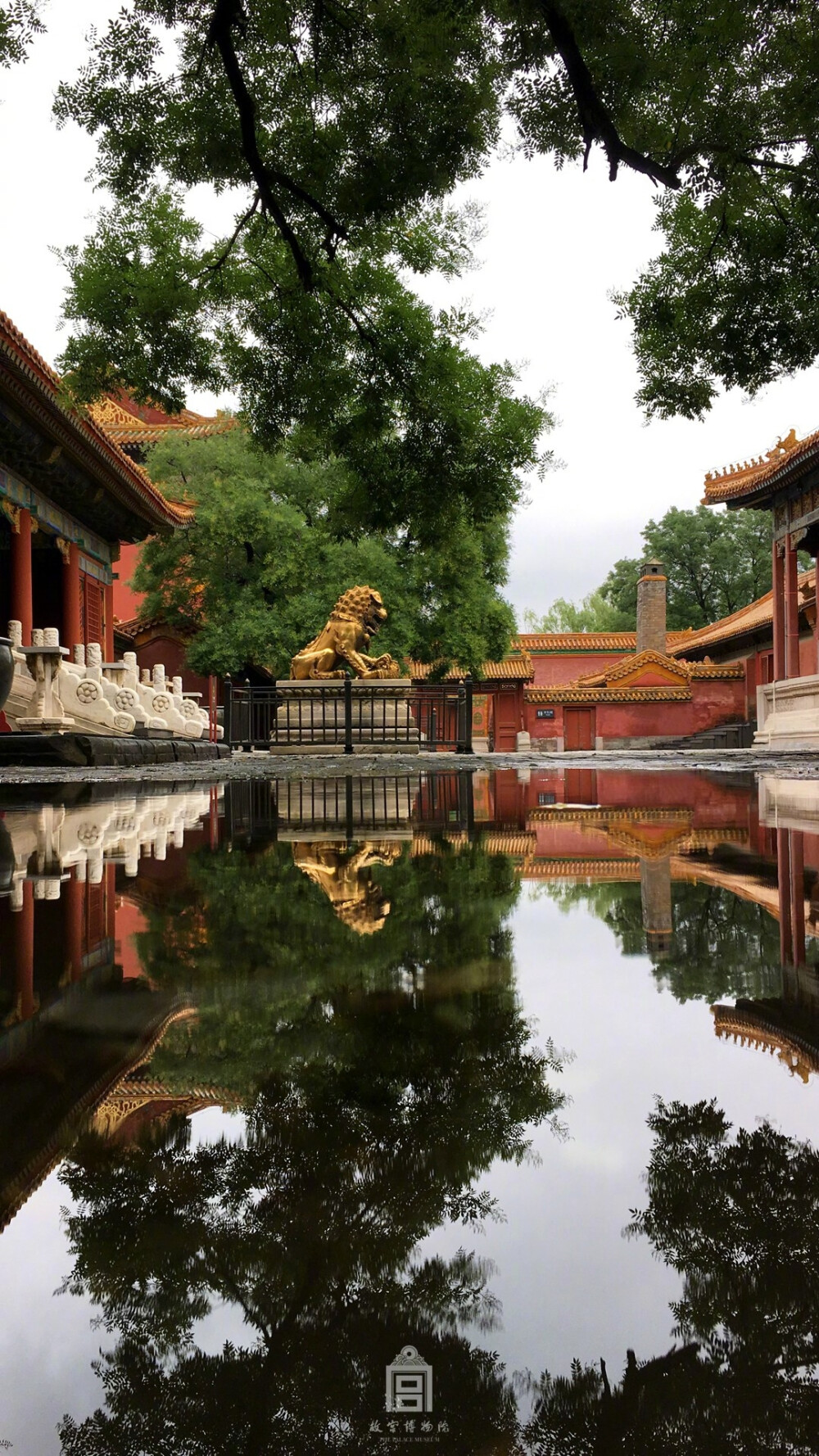 紫禁城【丁酉•夏雨雨后】“瓦溜初停云未散，苔花晕碧草齐腰。一番浓绿催朱夏，昨夜新波失断桥” 照片取自@故宫博物院