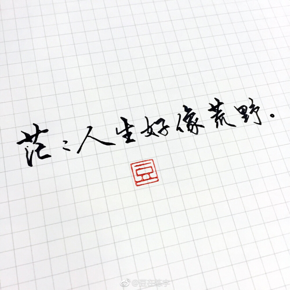 豆在练字