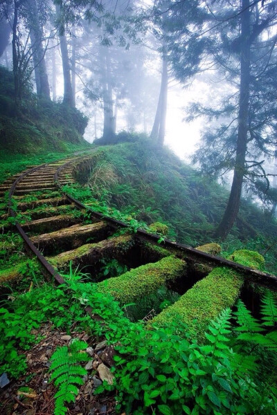 Abandoned Railways - 台湾太平山国家森林公园