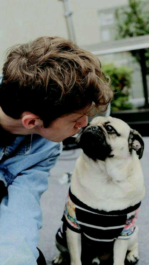 troye sivan 特洛伊 希文 戳爷 明星 壁纸 锁屏 