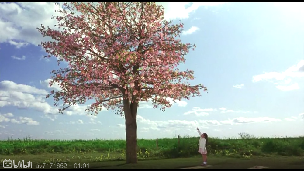 花树与女孩