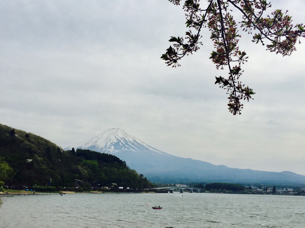 富士山