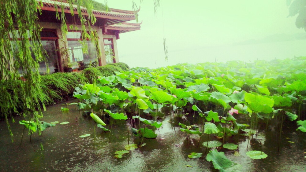 雨季西湖