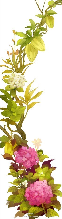 绣球——《哑舍》晓泊