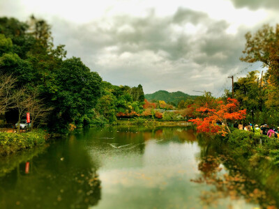 秋野