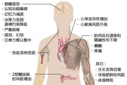 熬夜的危害