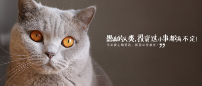 投资理财
