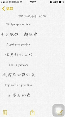 明星分组 情侣分组 伤感分组 霸气分组 歌词分组 自制 by 香椿丛林