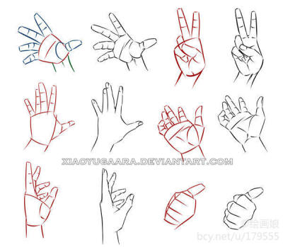 手的画法1