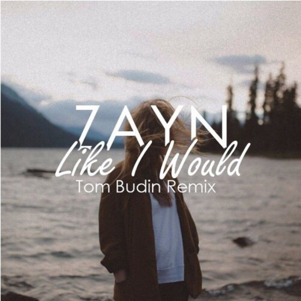 Like I Would — Tom Budin/ZAYN