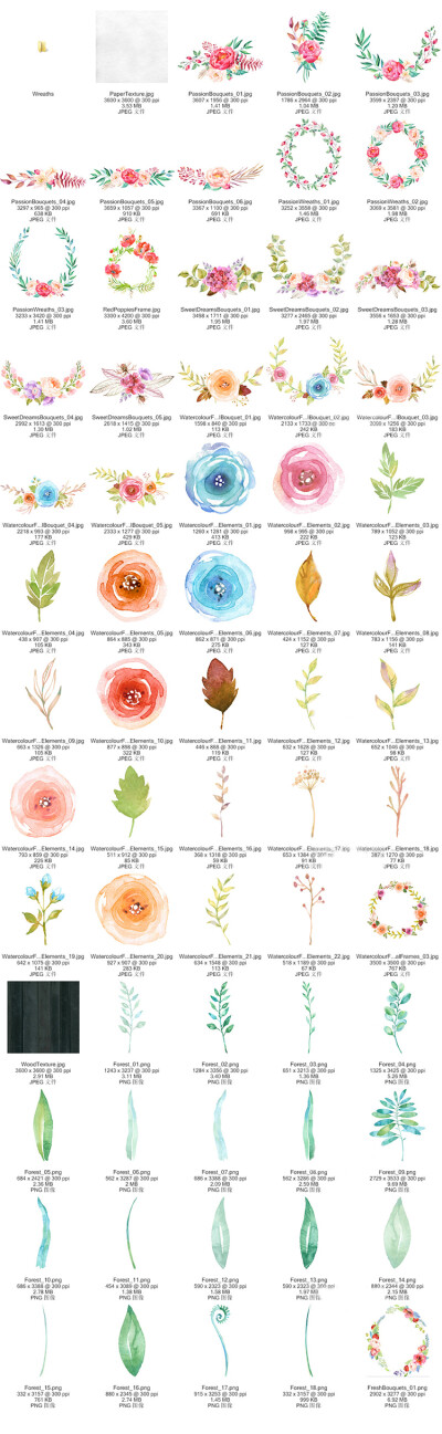 【合集】水彩手绘花卉花朵植物卡片邀请函图案PNG设计素材png212