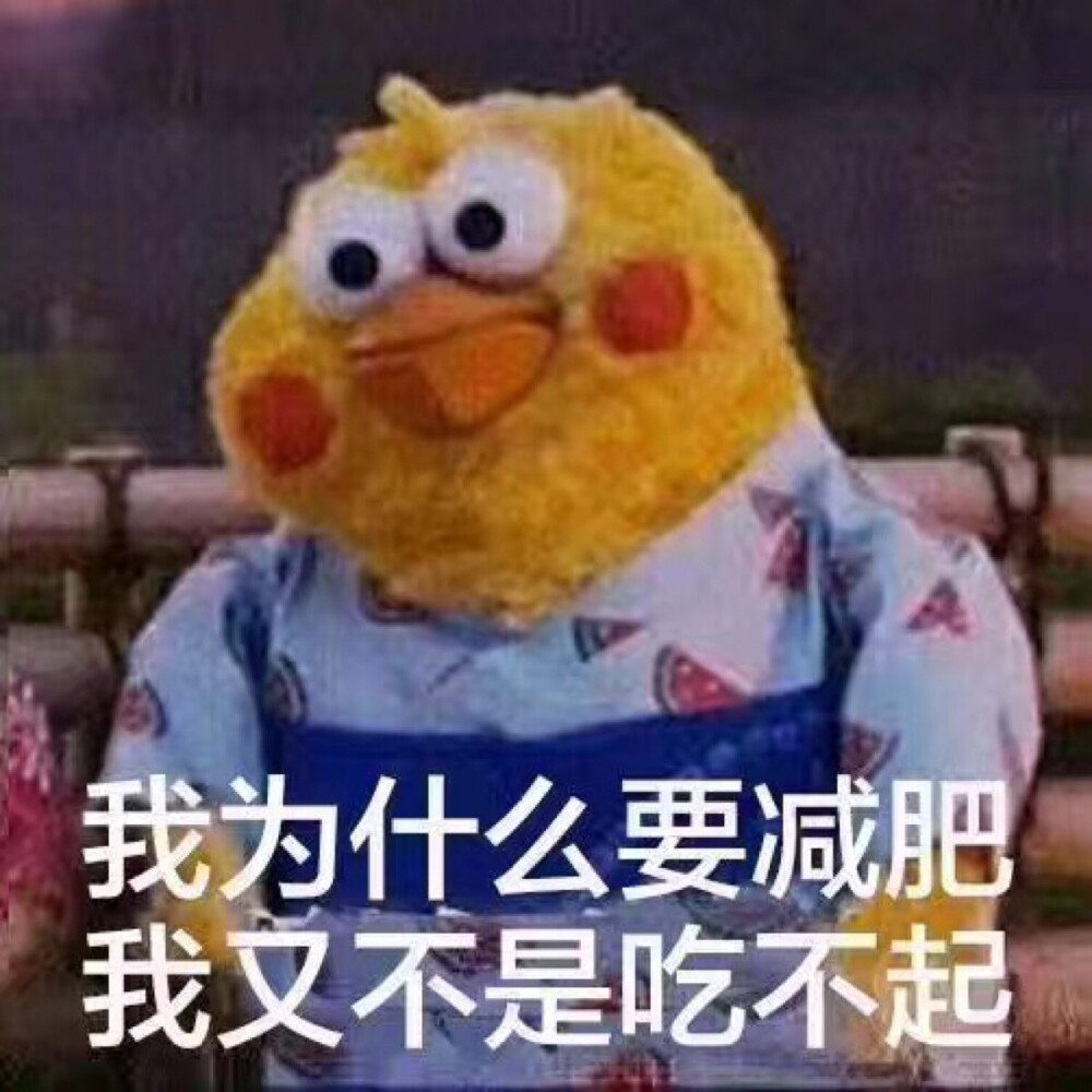 我为什么要减肥，我又不是吃不起