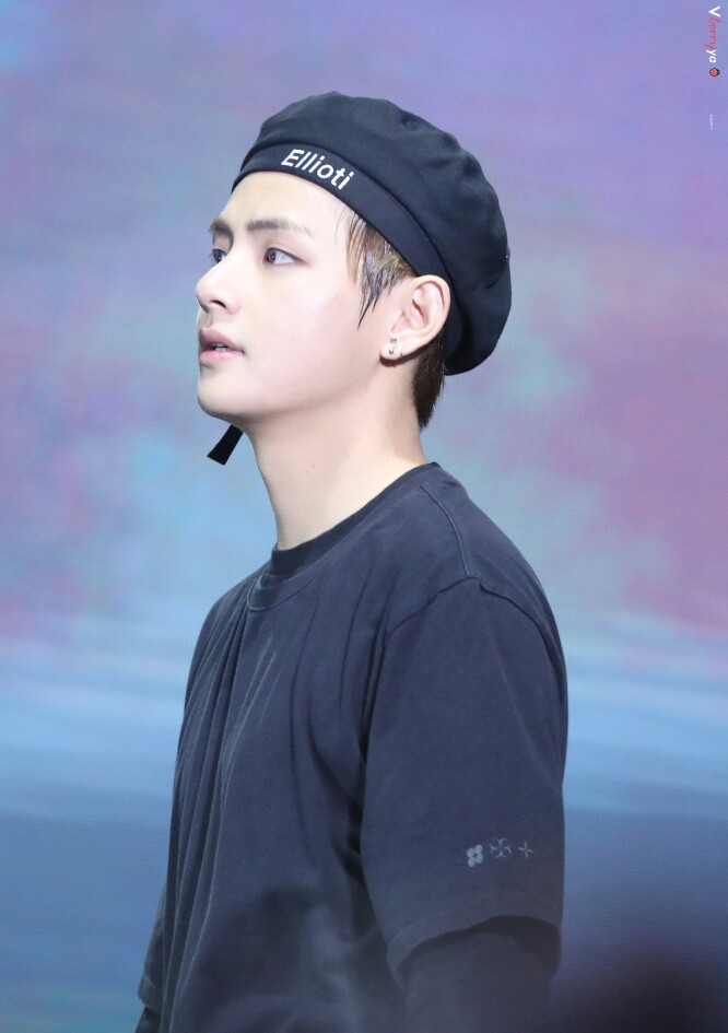 金泰亨 泰泰 TAETAE V 小狮子