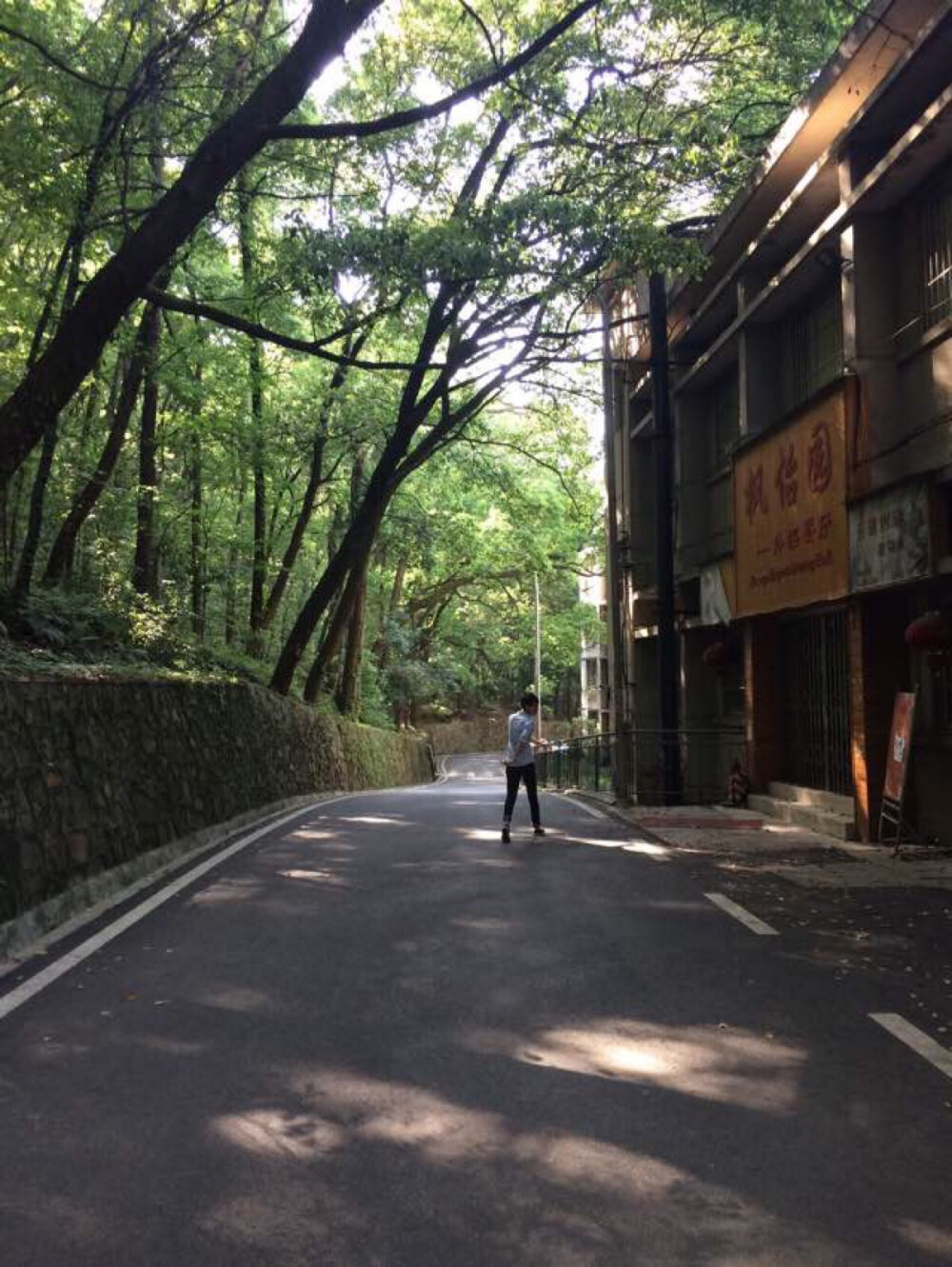 武汉大学 小路