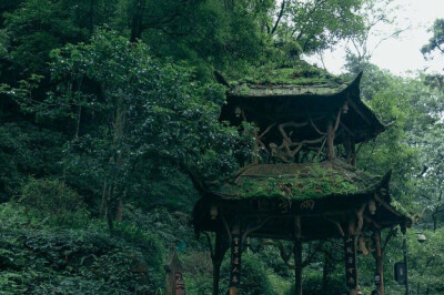 長亭外 古道邊 芳草碧連天