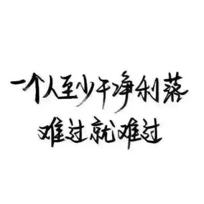 我起码干净 不像你 一生邋遢 再怎么如他人好 不过就是让世人耻笑的对象