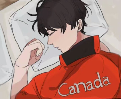 动漫男头，加拿大男孩，睡觉，酷