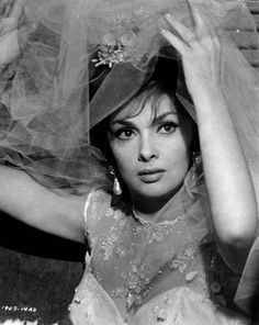 吉娜·劳洛勃丽吉达 Gina Lollobrigida