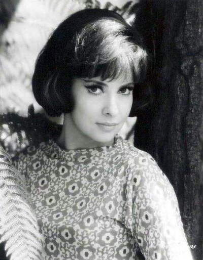 吉娜·劳洛勃丽吉达 Gina Lollobrigida