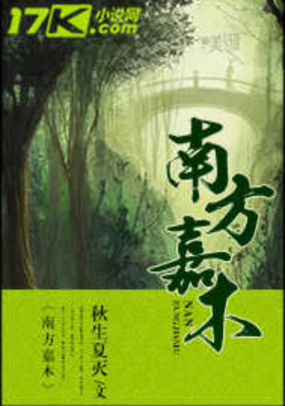 我的第一本小说，不知道什么时候，我可以写完