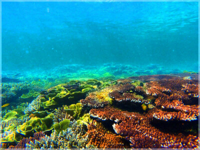 East Coast Malaysia, Terengganu, Kapas Island
马来西亚东海岸 登嘉楼州属 棉花岛