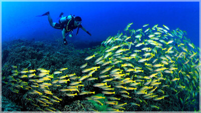 East Coast Malaysia, Terengganu, Kapas Island
马来西亚东海岸 登嘉楼州属 棉花岛