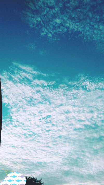 那蓝蓝的天，是那么蓝，此时此刻的你，又在干嘛