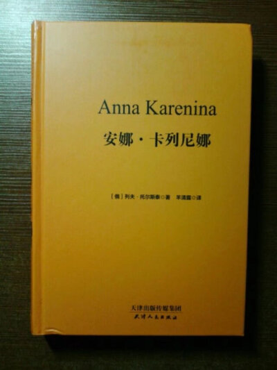 《安娜·卡列尼娜》写实小说的代表，通过安娜追求爱情的悲剧和列文在农村面临危机而进行改革与探索这两条线索，描写了俄国丰富多彩的图景，揭示了俄国妇女的地位，以及个人感情和社会道德之间的冲突，是一部百科全书…