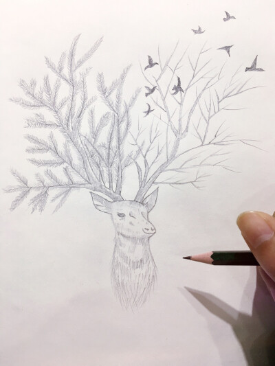 铅笔画、素描，麋鹿